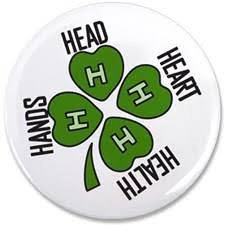  4H logo